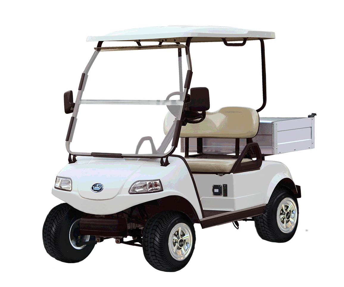 melocotón Elemental entidad Baterías para carros de golf - Distribuidora LARCE